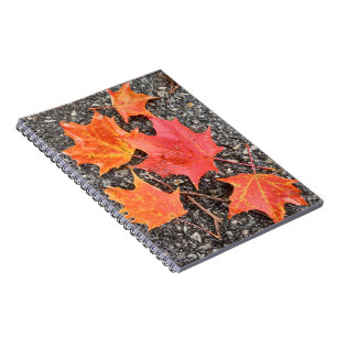 Cahier à spirale Feuilles d'érable d'automne