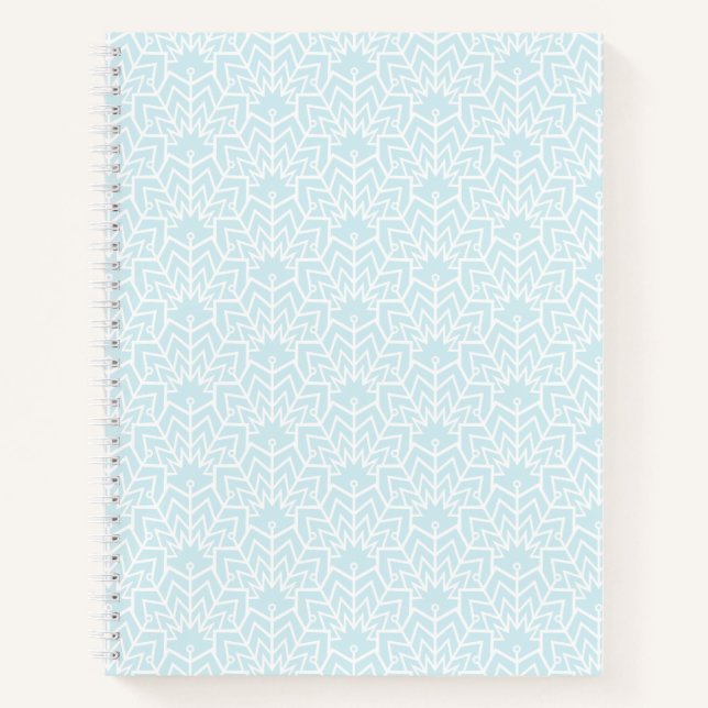Cahier à spirale Glaces en arches (Devant)