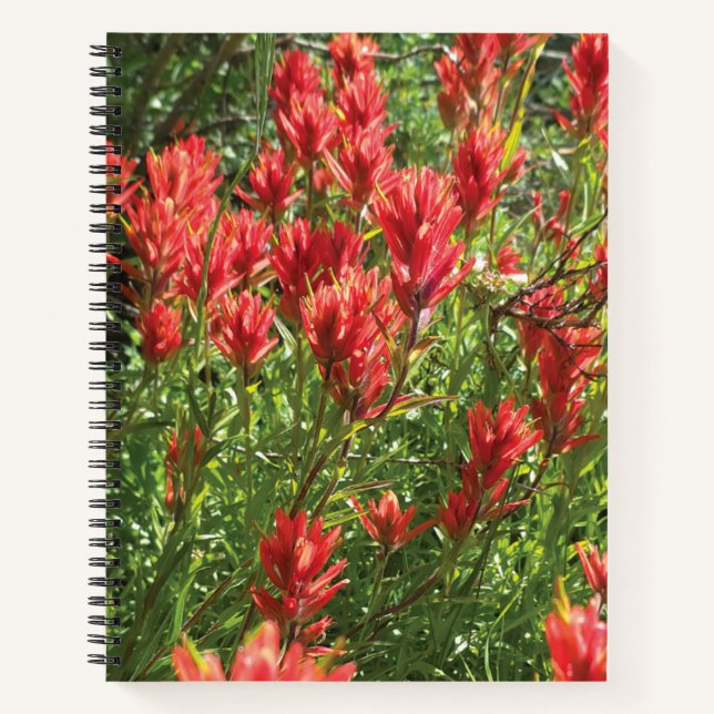 Cahier à spirale Paintbrush (Devant)