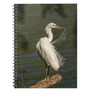Cahier à spirale Photo Héron Blanc