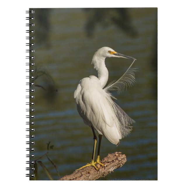 Cahier à spirale Photo Héron Blanc (Devant)