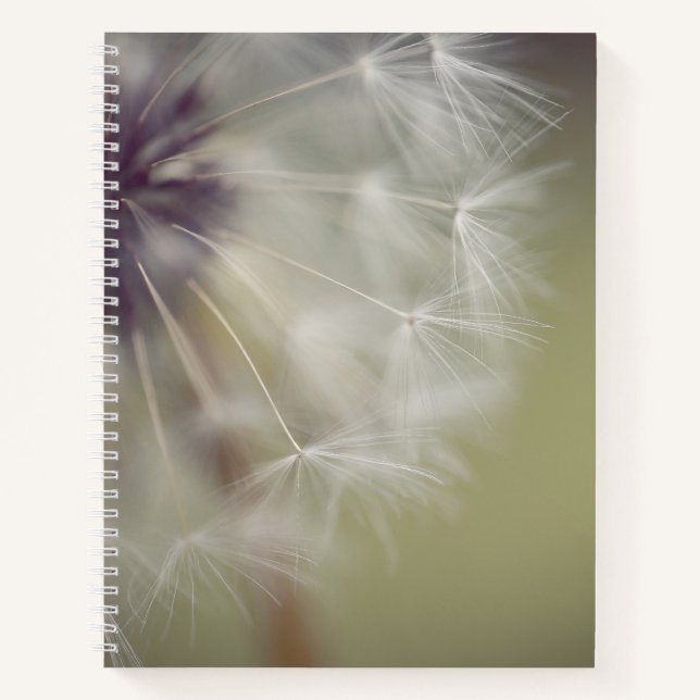 Cahier à spirale Pissenlit (Devant)
