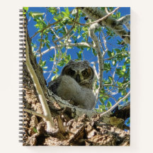 Cahier à spirale sous surveillance