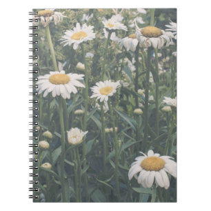Cahier à spirales floral Champ de pâquerettes