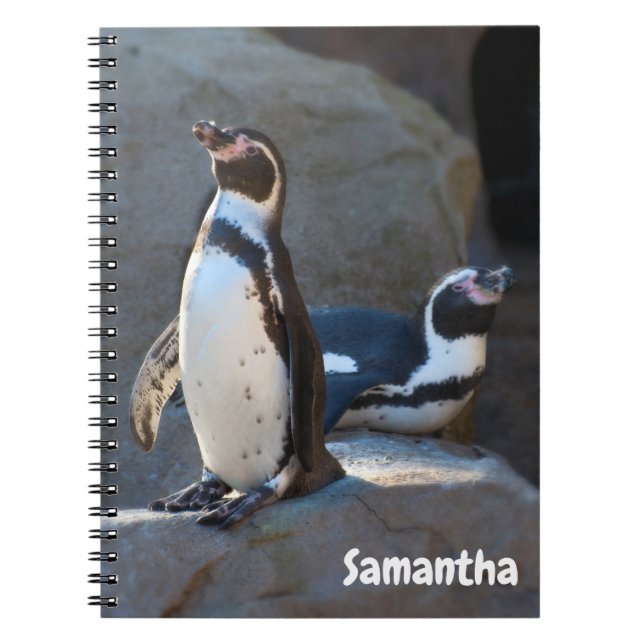Cahier à spirales Manchots de Humboldt (Devant)