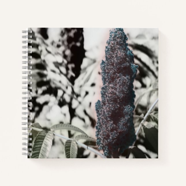 Cahier à trois spirales (Devant)