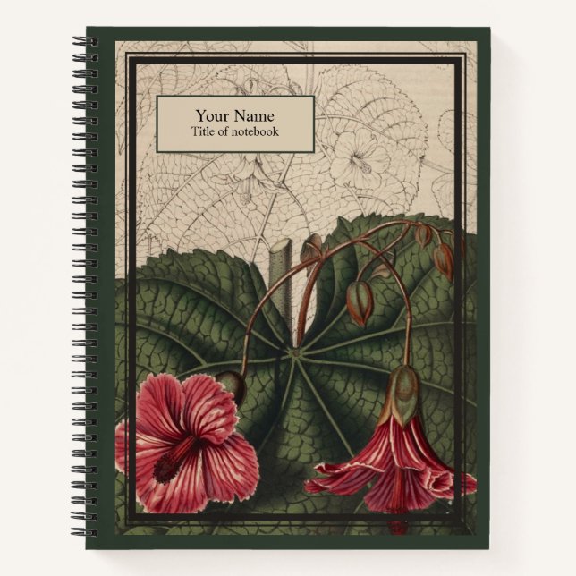 Cahier Abutilon Reverie (Devant)