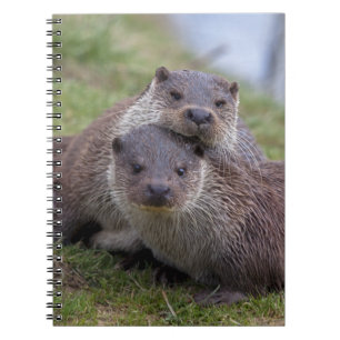 Cahier Amoureusement Loutre