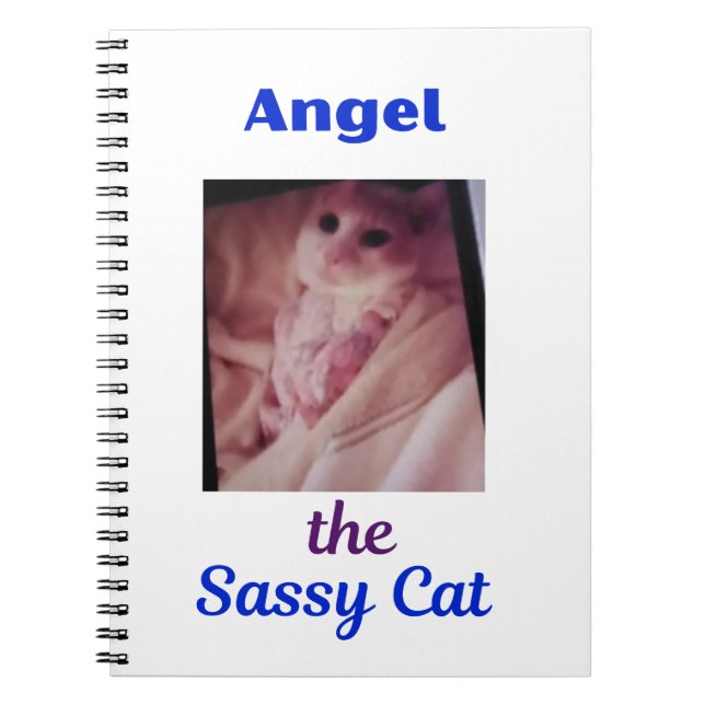 Cahier Ange le Chat Sassy (Devant)