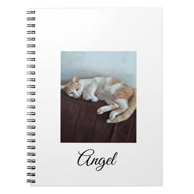 Cahier Ange le Chat Sassy (Devant)