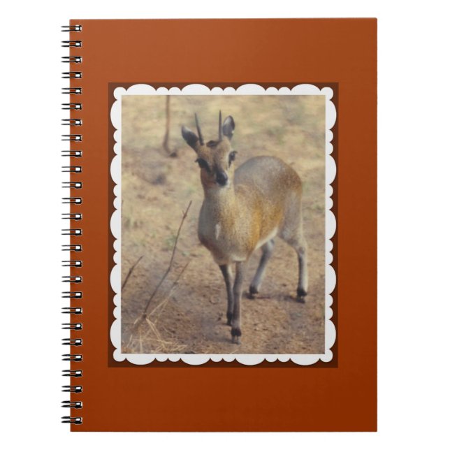 Cahier Au Zoo (Devant)