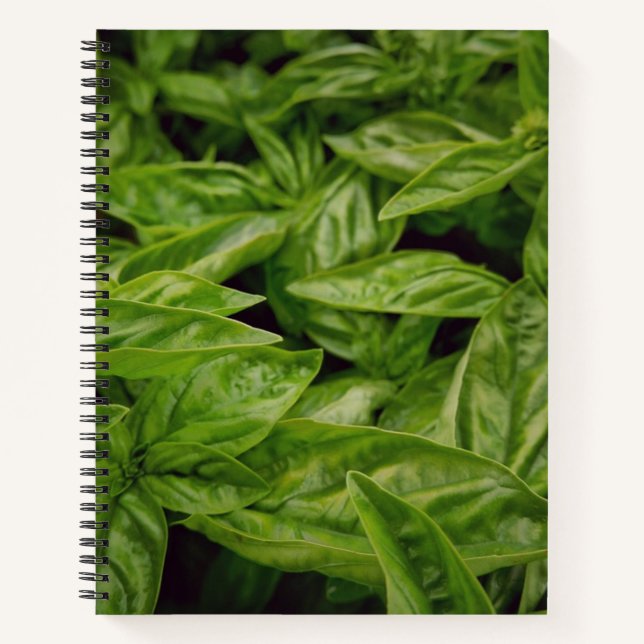 Cahier Basil (Devant)