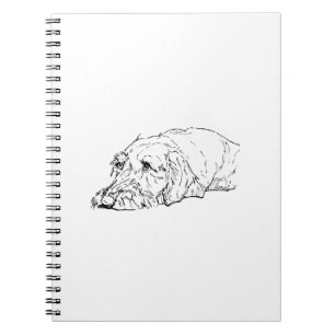 Cahier Cadeau Teckel à Poil Dur