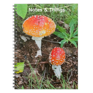 Cahier Champignons de Bois 