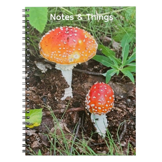 Cahier Champignons de Bois  (Devant)