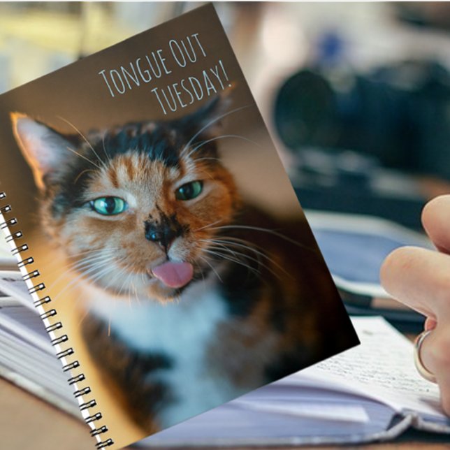 Cahier Chat Calicot Malicieux Langue Sortie (Créateur téléchargé)