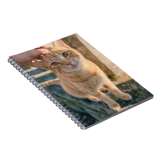 Cahier Chat Orange (Côté Droit)