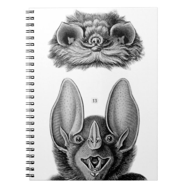 Cahier Chauves-Souris Vintage pour les Vampires (Devant)
