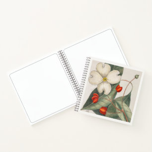 Cahier de croquis botanique Cornouiller art du 18è