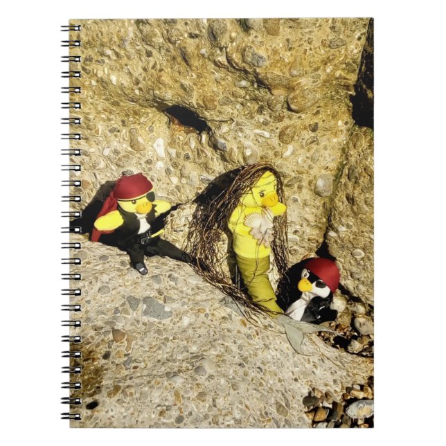 Cahier de Danni la Sirène (Devant)