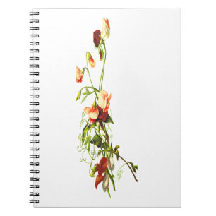 Cahier de fleurs du mois de naissance, floral pers