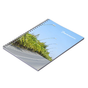 Cahier de Fuerteventura