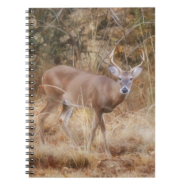 Cahier de notes Cerf dans une prairie d'automne (Devant)