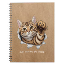 Cahier de notes photo spirale - Chat mignon