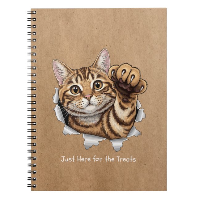 Cahier de notes photo spirale - Chat mignon (Devant)