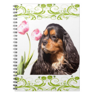 Cahier de notes Tulipes Cavalier King Charles Span