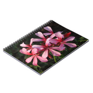 Cahier de photo de fleurs roses (80 pages B&W)