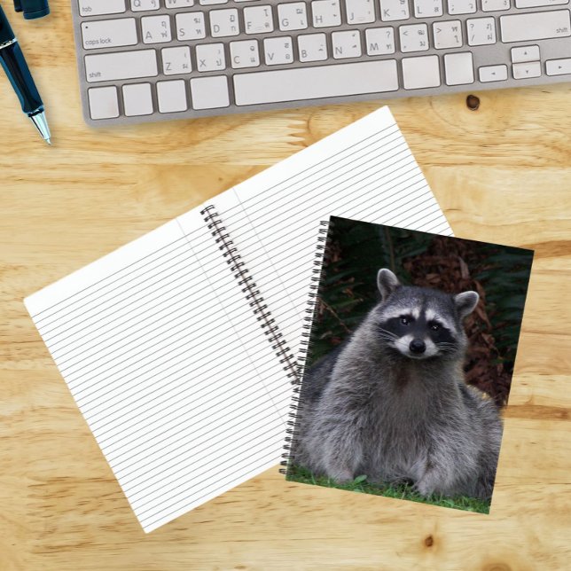 Cahier de photos de la faune de Raton laveur de fo (In Situ)