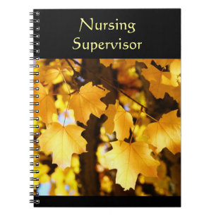 Cahier de Superviseur de Soins infirmiers Feuilles