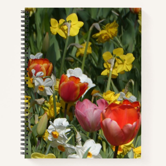 Cahier de tulipes et jonquilles colorés (Devant)