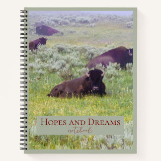 Cahier d'espoir et de rêves