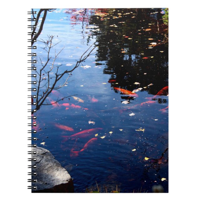 Cahier d'étang aux carpes koï (Devant)