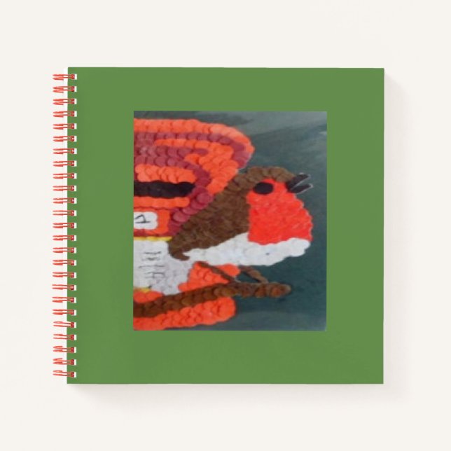 Cahier Dotty Robin (Devant)