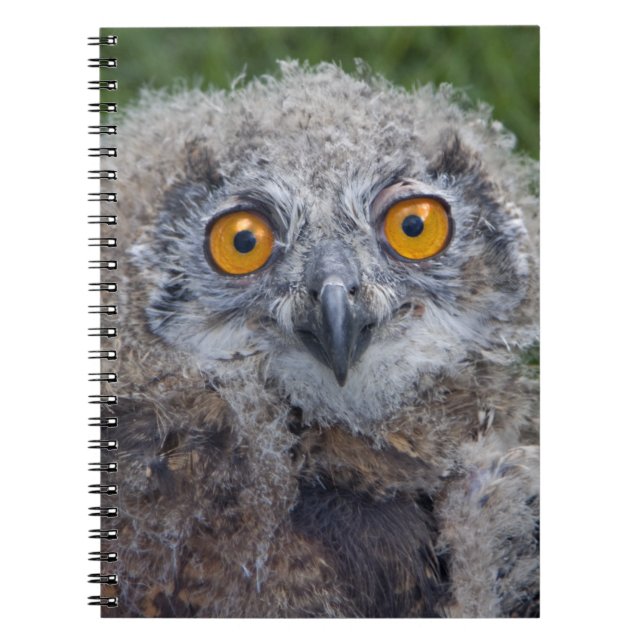 Cahier d'une mauvaise journée (Devant)