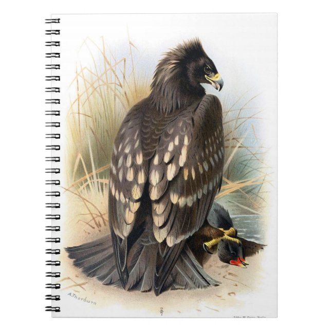 Cahier Eagle tacheté vintage (Devant)