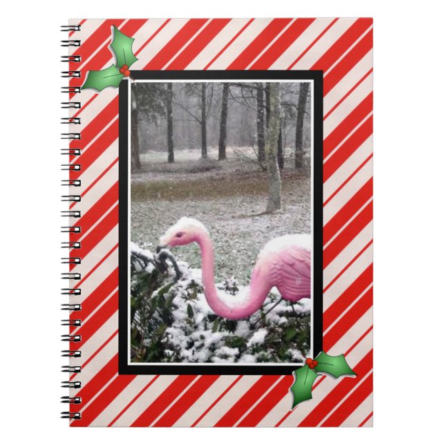Cahier Flamingo de vacances (Devant)