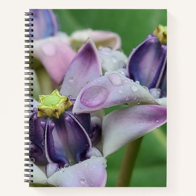 Cahier Fleur Couronne Violette (Devant)