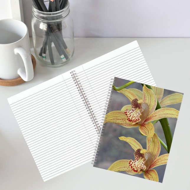 Cahier floral Cymbidium Orchidées tachetées (In Situ)