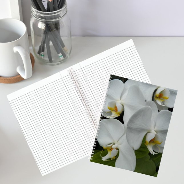 Cahier floral d'orchidées Phalaenopsis blanches (In Situ)