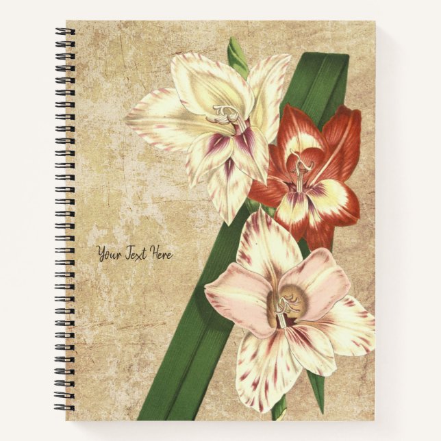 Cahier Gladioli Vintage (Devant)