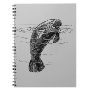 Cahier lamantin