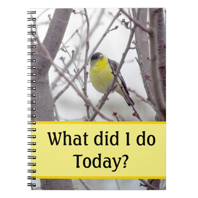 Cahier - Oiseau jaune dans les branches de l'arbre (Devant)