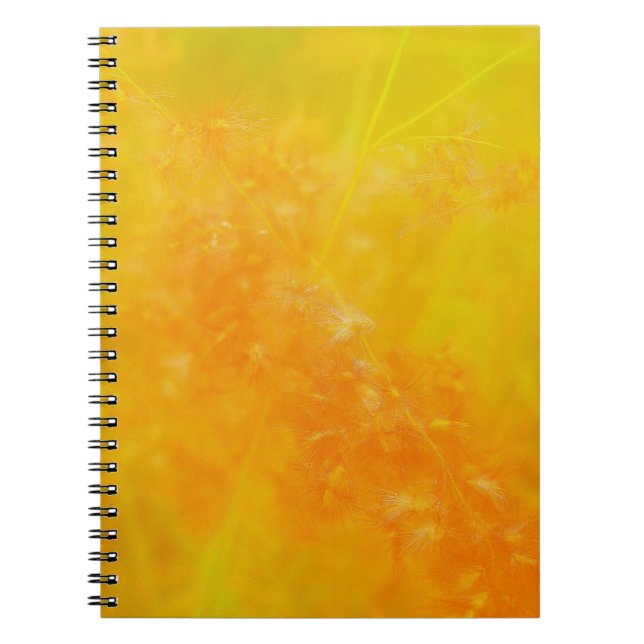 Cahier Orange Lumineux (Devant)