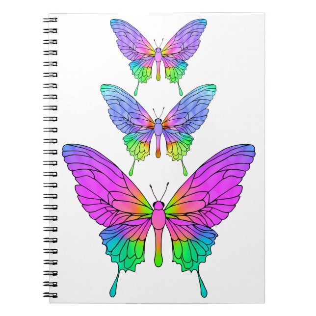 Cahier Papillons en Verre Coloré (Devant)