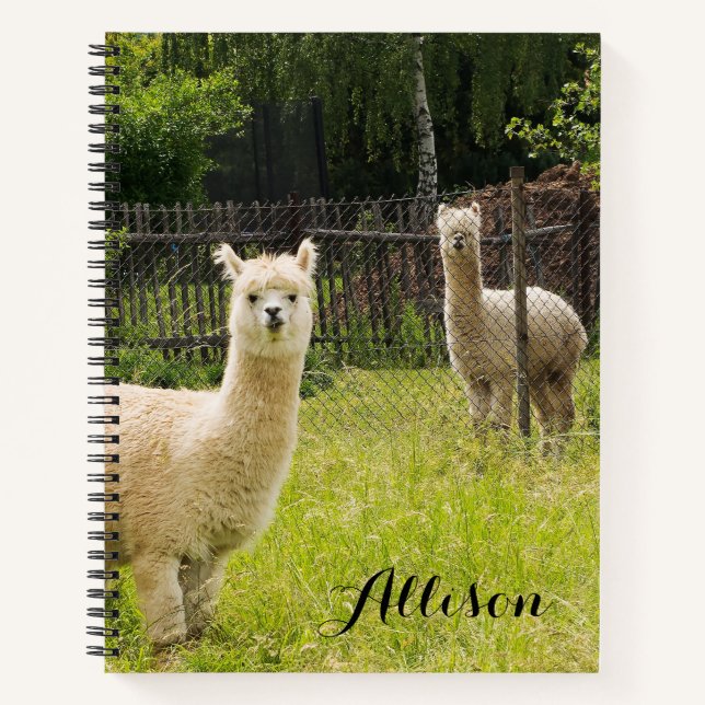 Cahier personnalisé sur le thème de l'alpaca (Devant)