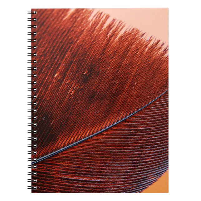 Cahier photo (80 pages B & N) (Devant)
